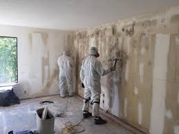 Why You Should Choose Our Mold Remediation Services in Shadow Lake, WA